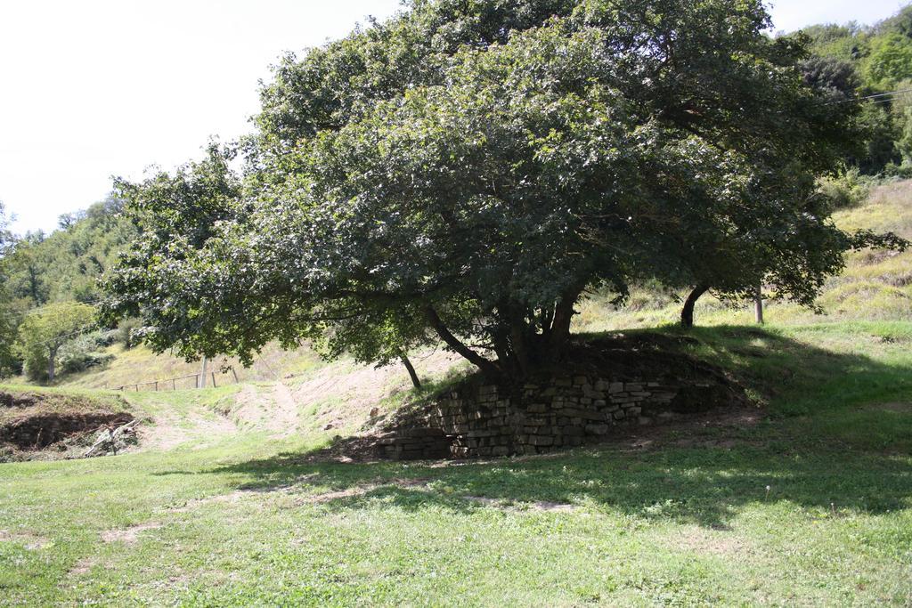 Locanda Di Alberi Borgo San Lorenzo Exteriör bild