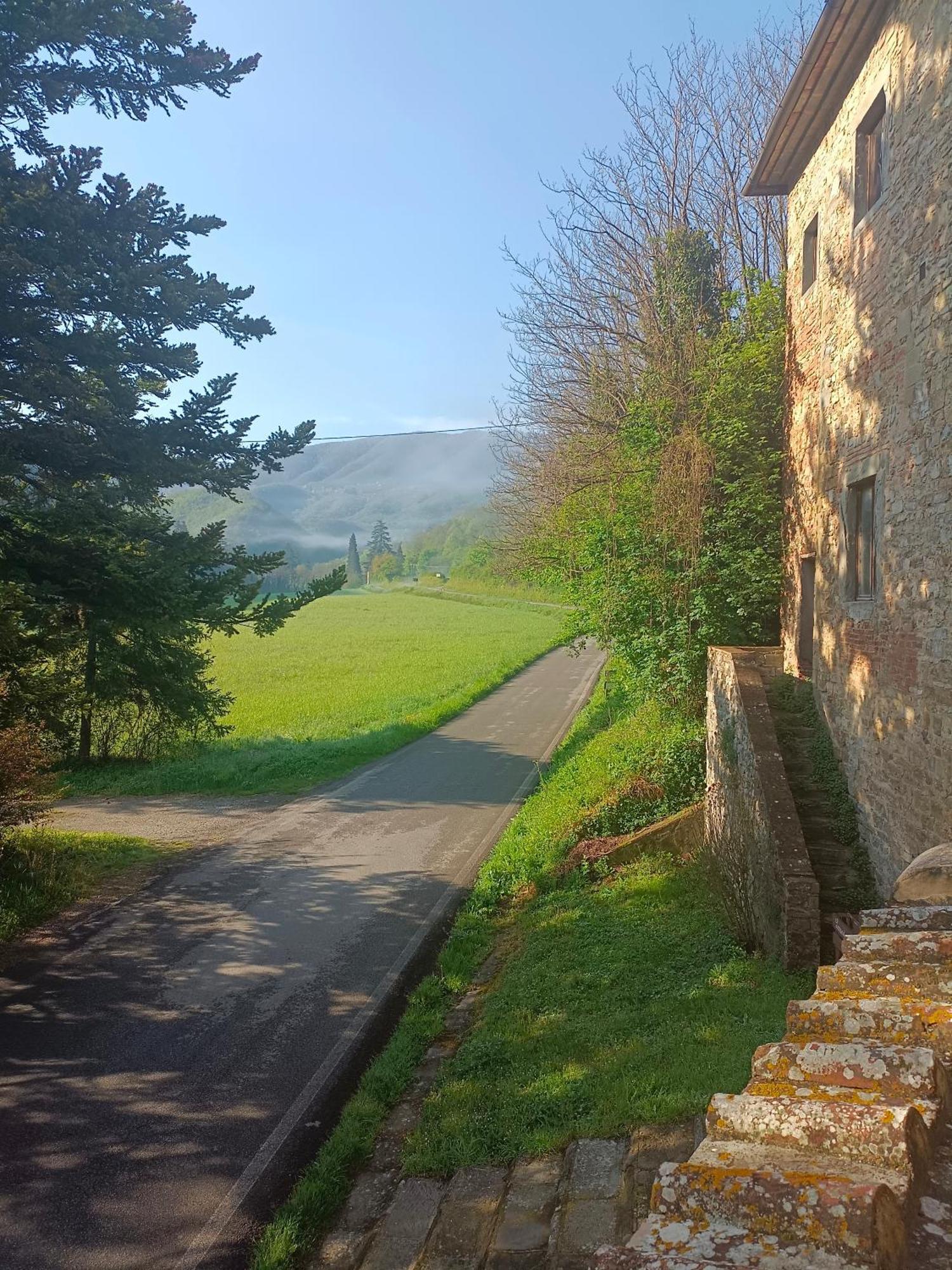 Locanda Di Alberi Borgo San Lorenzo Exteriör bild