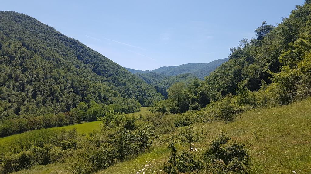 Locanda Di Alberi Borgo San Lorenzo Exteriör bild